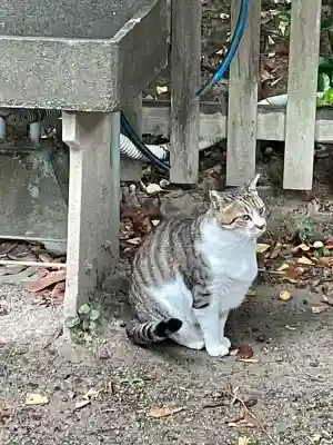 阿邪訶根神社(福島県)