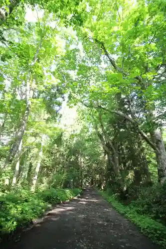 戸隠神社奥社の周辺