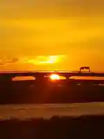 柳原稲荷神社の景色