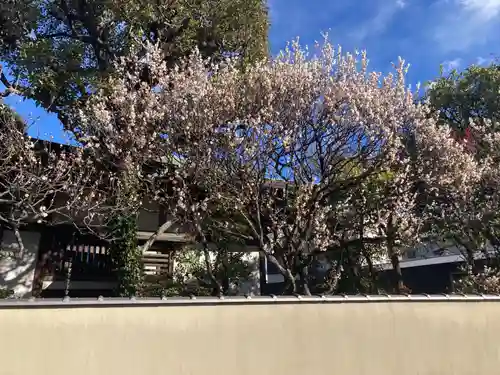 観音蜜寺(神奈川県)