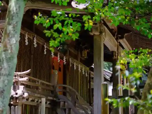 舟津神社の本殿