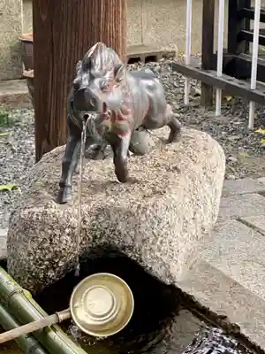 摩利支天堂 禅居庵の手水舎