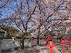 大慶寺の自然