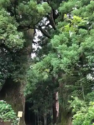 熊野那智大社(和歌山県)