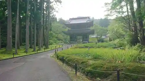 林泉寺の山門