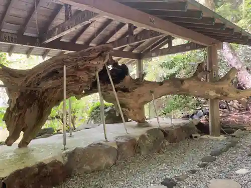 箱根神社(神奈川県)