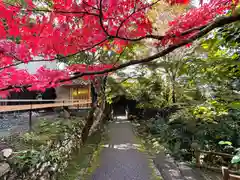 宝泉院(京都府)