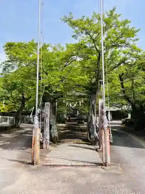 天鷹神社(岐阜県)