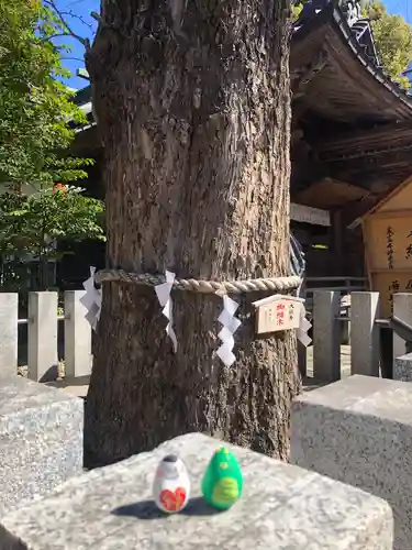 田無神社(東京都)