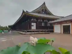 蓮華王院（三十三間堂）(京都府)