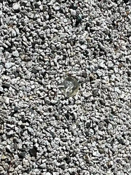 高台寺(高台寿聖禅寺・高臺寺)(京都府)