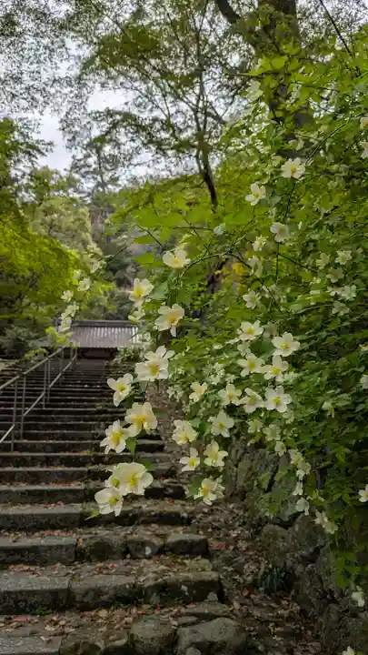 椎尾神社(大阪府)