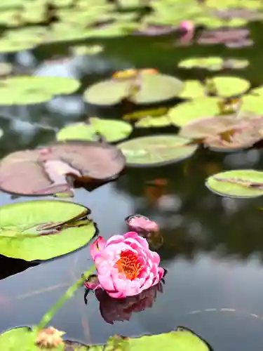 倶梨迦羅神社(長野県)
