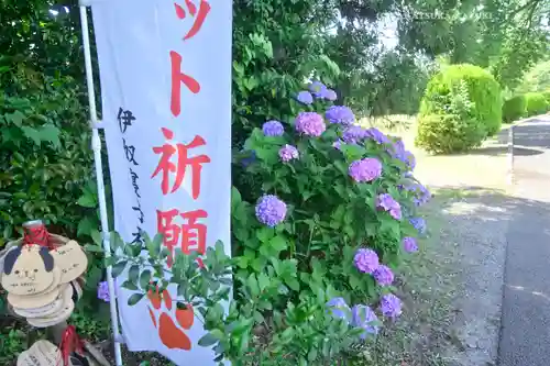 座間神社(神奈川県)