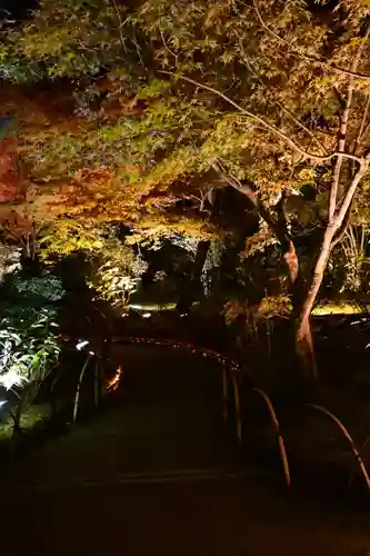 宝厳院(京都府)