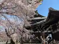 立本寺(京都府)