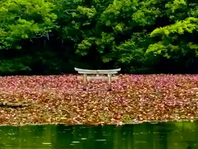 八幡神社(滋賀県)