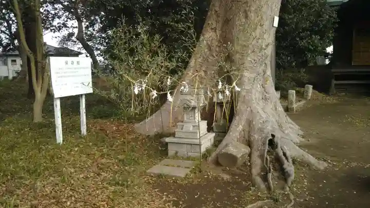 酒門神社の自然