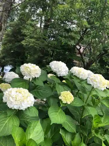 境香取神社の自然