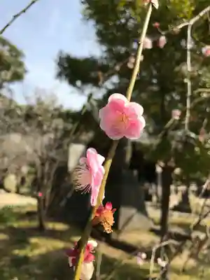 草木八幡神社(福岡県)