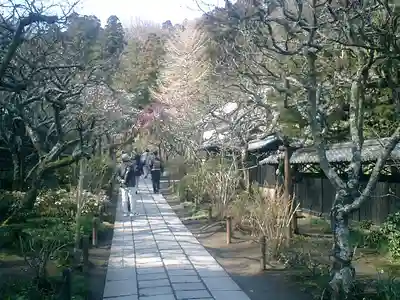 東慶寺のその他建物