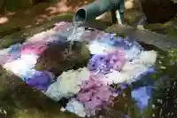 磐椅神社の手水舎