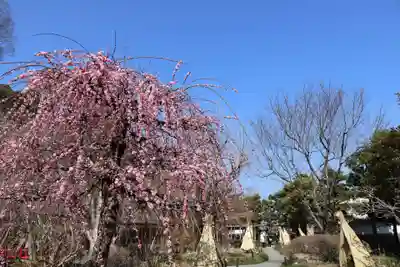 祐徳稲荷神社(佐賀県)
