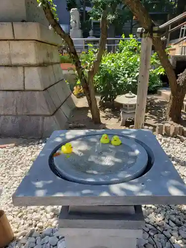 高円寺氷川神社の庭園