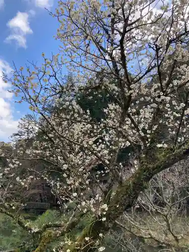 成田山新勝寺(千葉県)