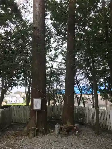 熊野神社のその他建物