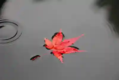 三春大神宮の自然