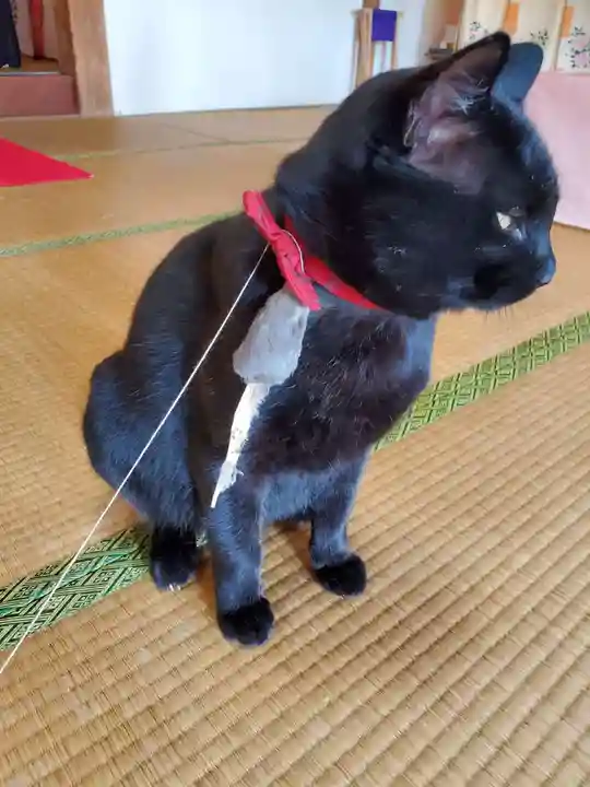 高司神社〜むすびの神の鎮まる社〜の動物