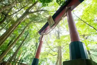 氷川女體神社(埼玉県)