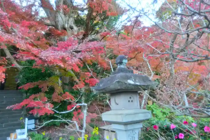 長谷寺(神奈川県)