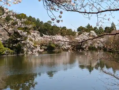 龍安寺(京都府)
