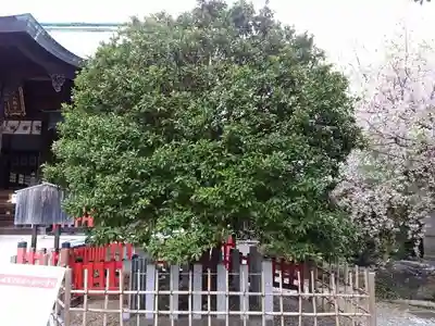 城山八幡宮のその他建物