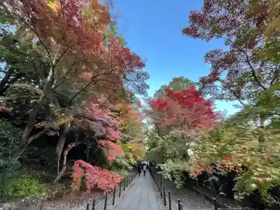 光明寺（粟生光明寺）(京都府)