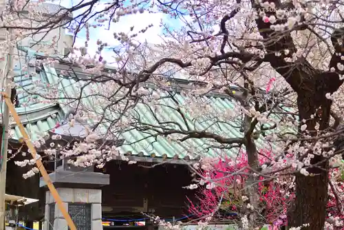 湯島天満宮(東京都)
