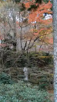 三千院門跡(京都府)