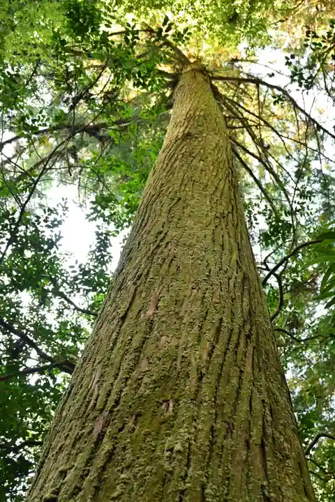 素鵞神社(愛媛県)