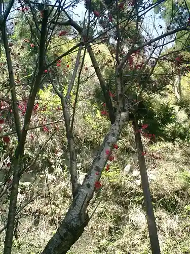 御霊神社の自然