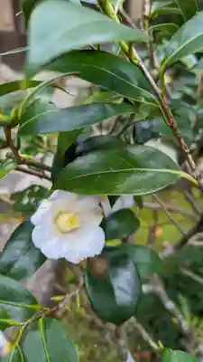 岩屋寺(京都府)