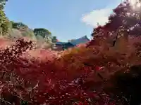 東福禅寺(東福寺)(京都府)