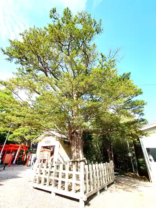 湯倉神社(北海道)