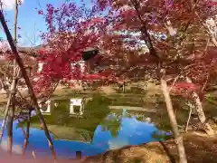 高台寺（高台寿聖禅寺・高臺寺）(京都府)