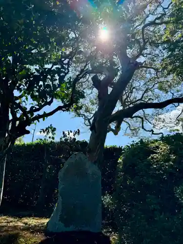 清凉院(京都府)