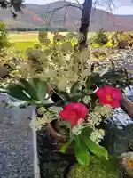 高司神社〜むすびの神の鎮まる社〜(福島県)