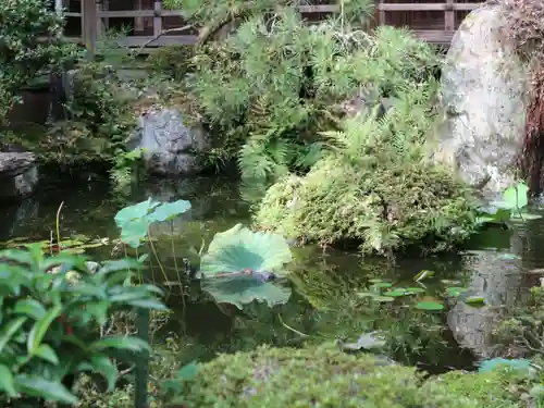 正法寺の庭園