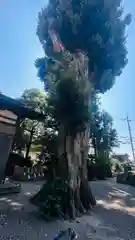 神明神社(滋賀県)