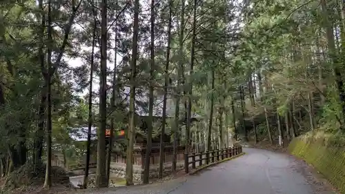 横倉神社の自然